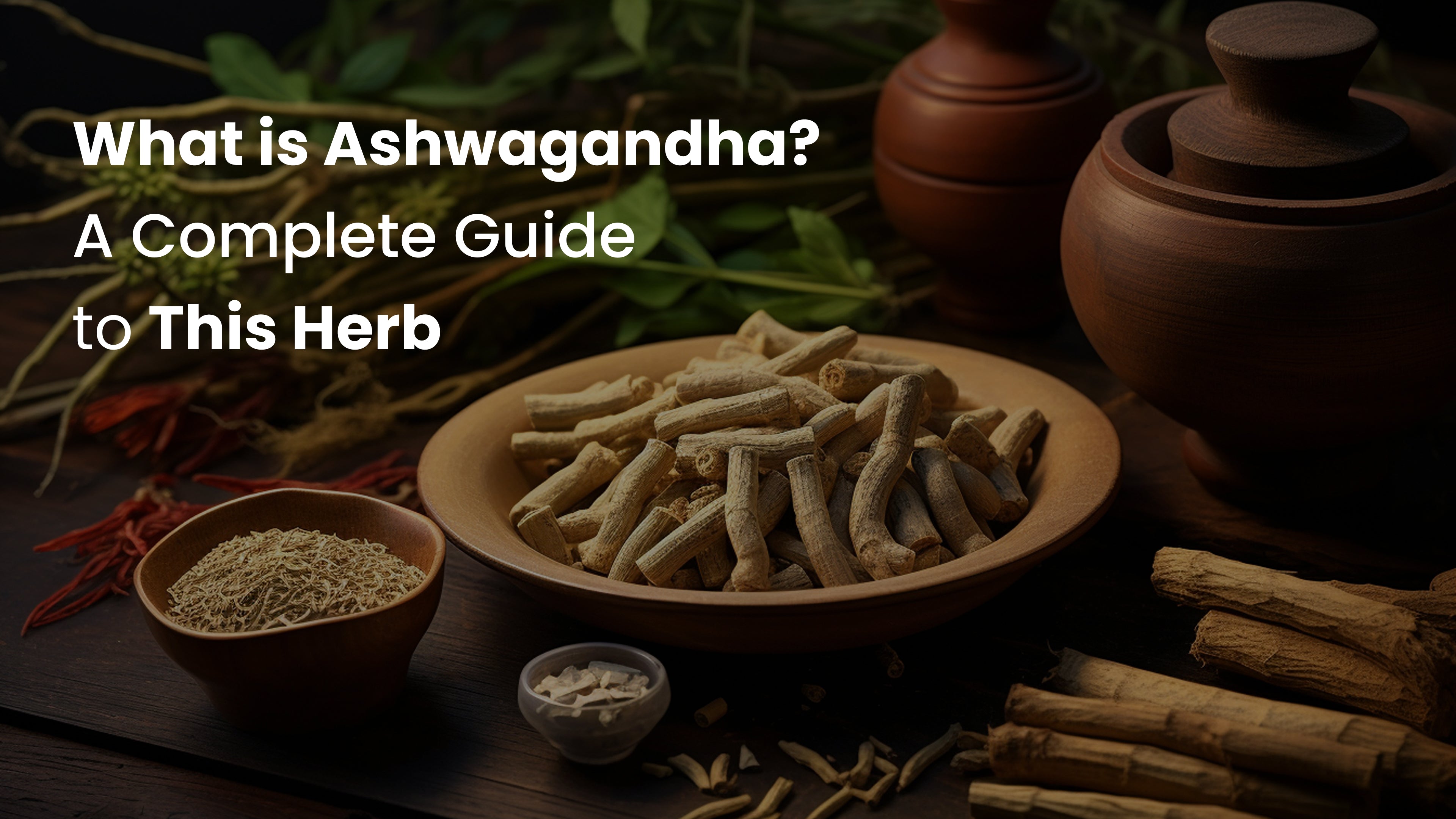 Maximize Ashwagandha Benefits: The Complete Cycling Guide - xxp6ml5