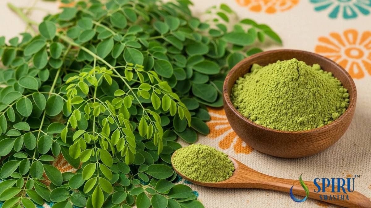 Unlocking the Power ofMoringa Powder: A Comprehensive Guide for Indian ...