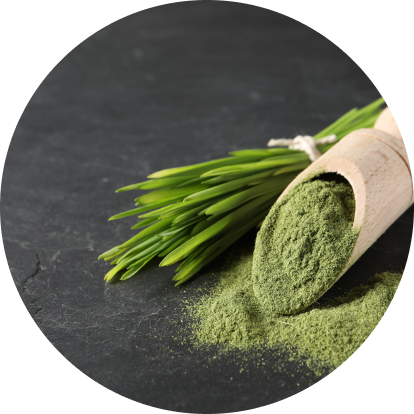 100% Natural Wheatgrass Powder