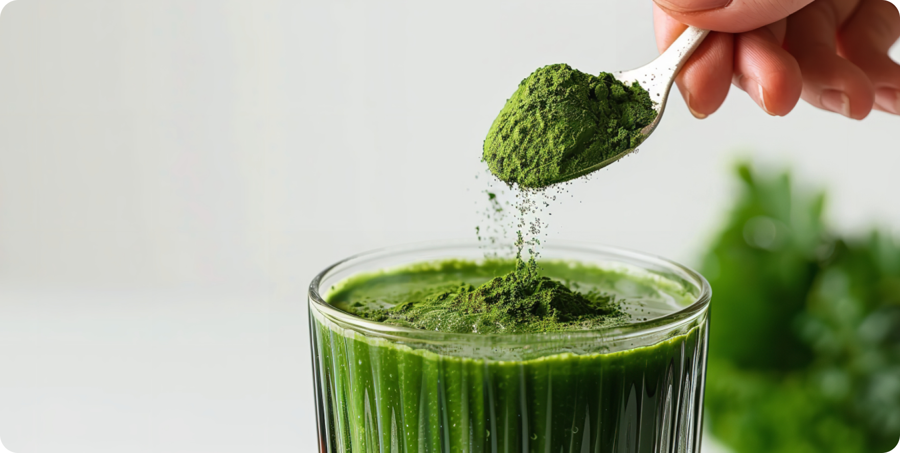 Start with 1 teaspoon of Organic Spirulina Powder in smoothies, juices, or shakes; beginners can begin with half a teaspoon and gradually increase.