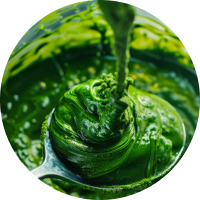 Spirulina Extract