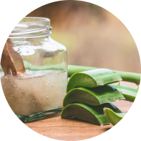 Aloevera Powder