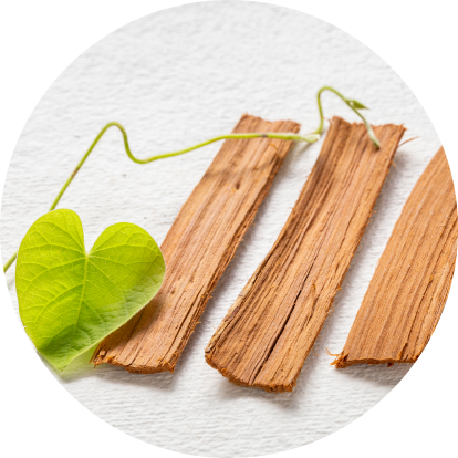 Arjuna Bark Extract