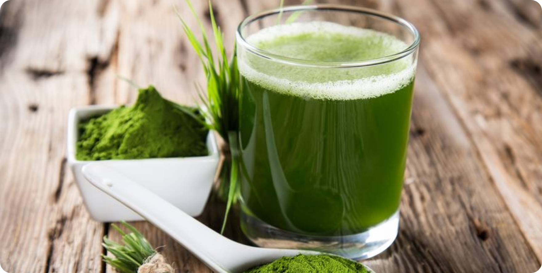 Mix in Water or Juice: Add 1 teaspoon (3g) of wheatgrass powder to 8 ounces of water or juice; drink on an empty stomach in the morning for maximum absorption.