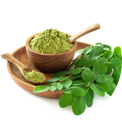 Natural Moringa Powder 100%