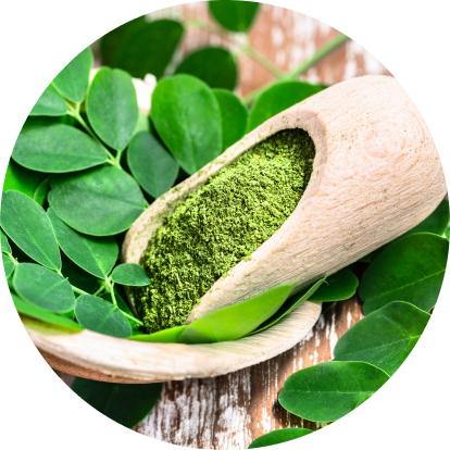 Moringa Extract