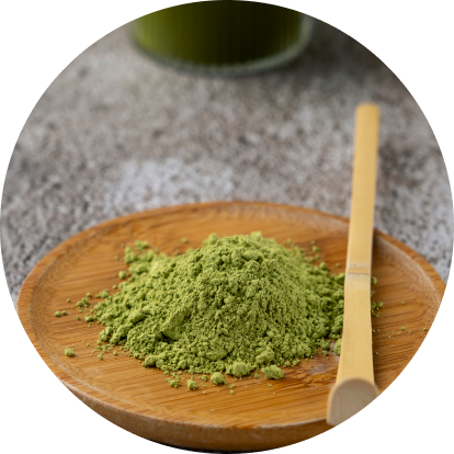 Moringa Extract