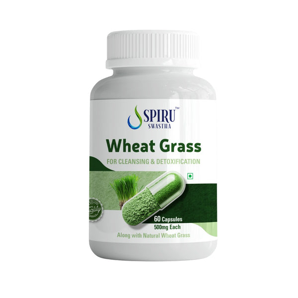Spiru Swastha Pure Wheatgrass Capsules | Ayurvedic Superfood for Detox, Immunity & Weight Management | Non-GMO | 500mg – 60 Vegetarian Capsules