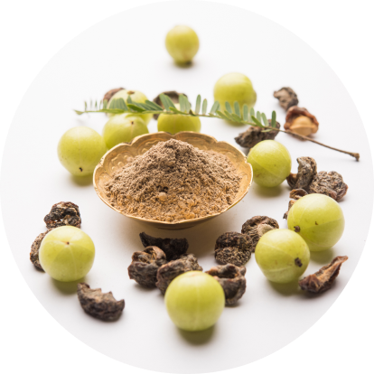 Amla Fruit Powder 100%