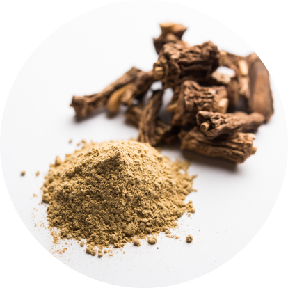 Arjuna Bark Powder